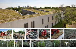 Botanical Research Institute of Texas