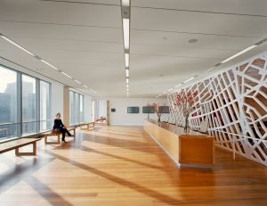New York Academy of Sciences