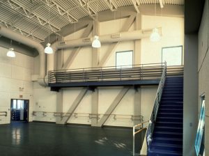 Théâtre de danse de Harlem
