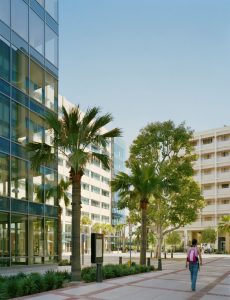 UCLA Northwest Campus Housing