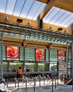 مركز ليون ليفي للزوار حديقة نيويورك النباتية