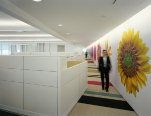 New Yorker Akademie der Wissenschaften