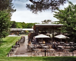 مركز ليون ليفي للزوار حديقة نيويورك النباتية