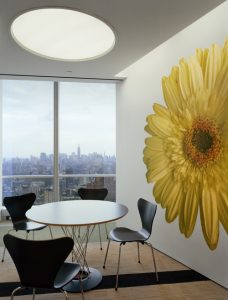 New Yorker Akademie der Wissenschaften