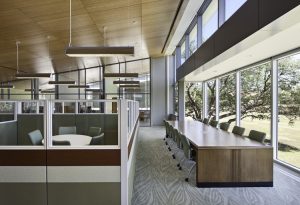 Institut de recherche botanique du Texas