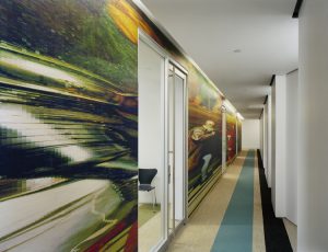 New Yorker Akademie der Wissenschaften