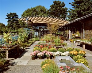 مركز ليون ليفي للزوار حديقة نيويورك النباتية