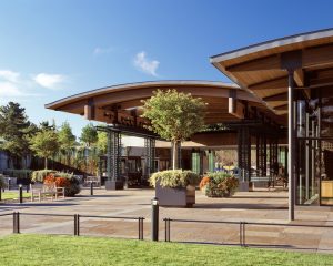 مركز ليون ليفي للزوار حديقة نيويورك النباتية